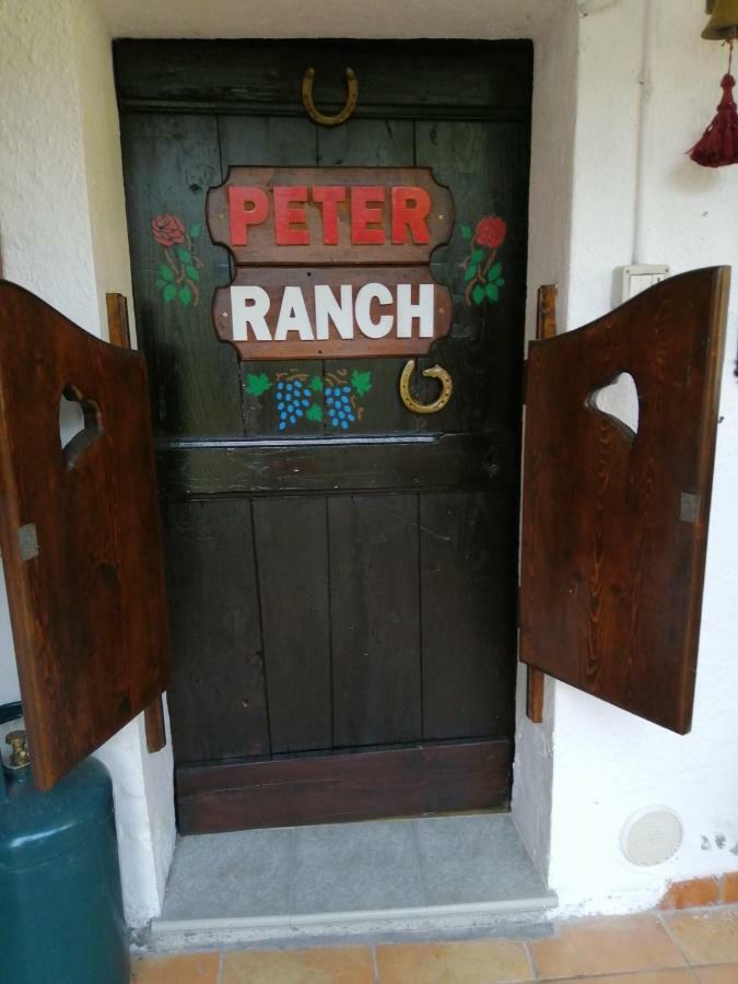 Appartement Peter Ranch 1 à Vico Canavese Extérieur photo